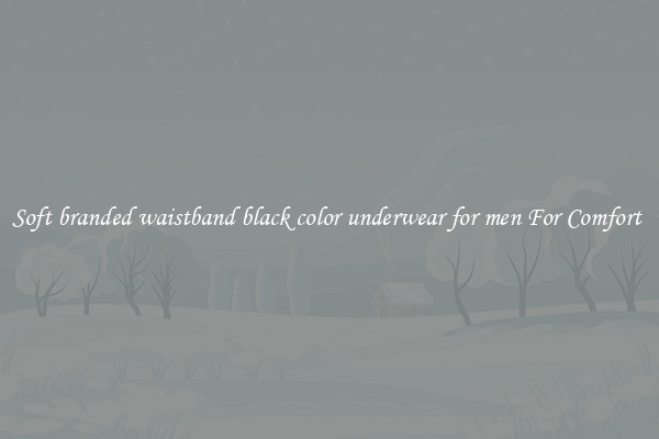 Soft branded waistband black color underwear for men For Comfort 