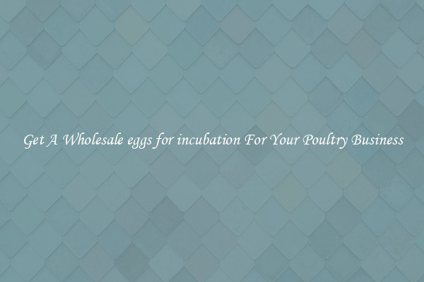 Get A Wholesale eggs for incubation For Your Poultry Business