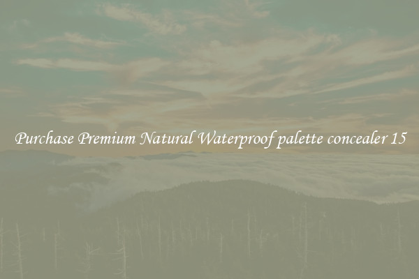 Purchase Premium Natural Waterproof palette concealer 15