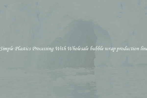 Simple Plastics Processing With Wholesale bubble wrap production line