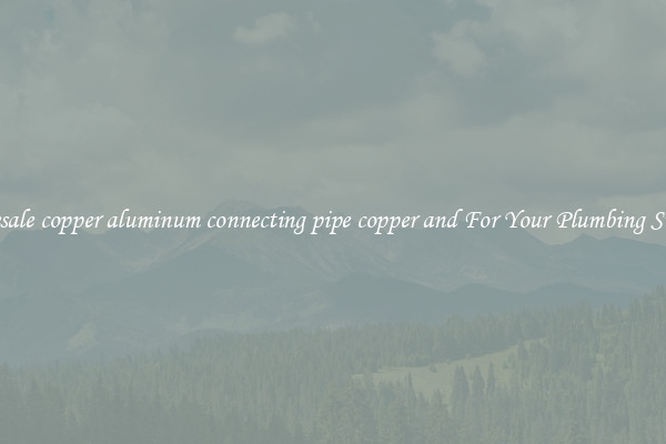 Wholesale copper aluminum connecting pipe copper and For Your Plumbing Supplies
