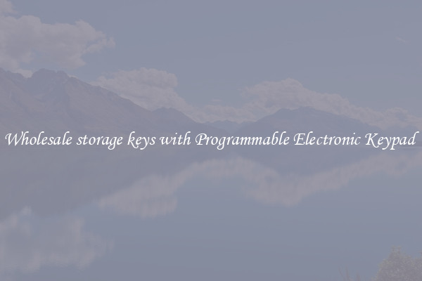 Wholesale storage keys with Programmable Electronic Keypad 