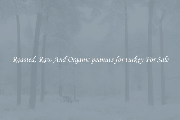 Roasted, Raw And Organic peanuts for turkey For Sale