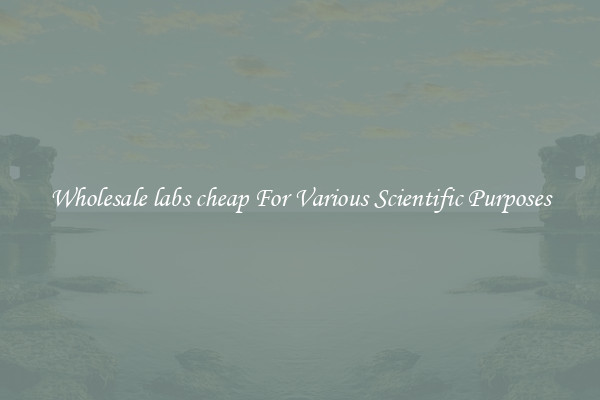 Wholesale labs cheap For Various Scientific Purposes