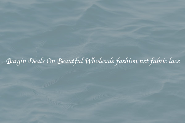 Bargin Deals On Beautful Wholesale fashion net fabric lace