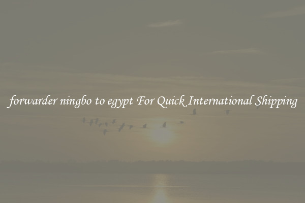 forwarder ningbo to egypt For Quick International Shipping