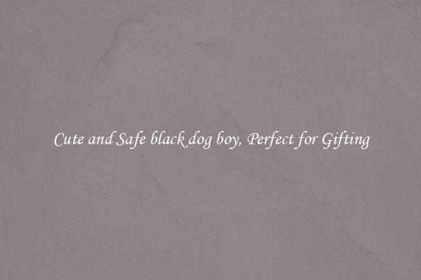Cute and Safe black dog boy, Perfect for Gifting