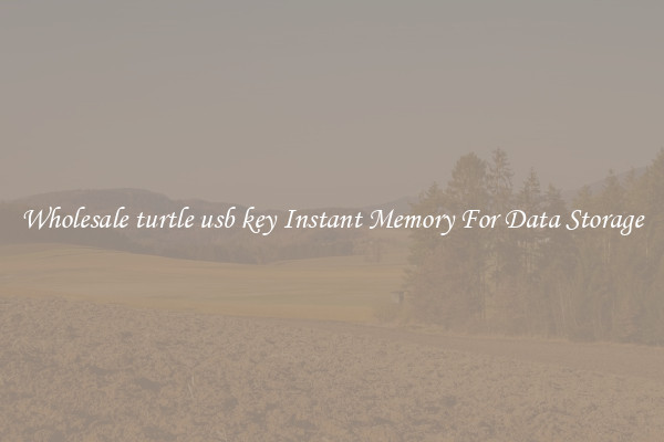 Wholesale turtle usb key Instant Memory For Data Storage