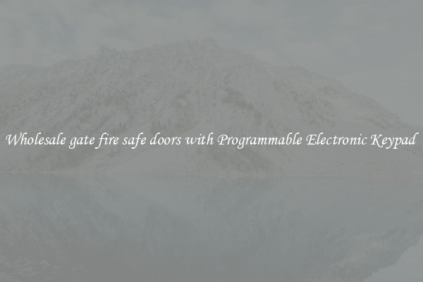 Wholesale gate fire safe doors with Programmable Electronic Keypad 