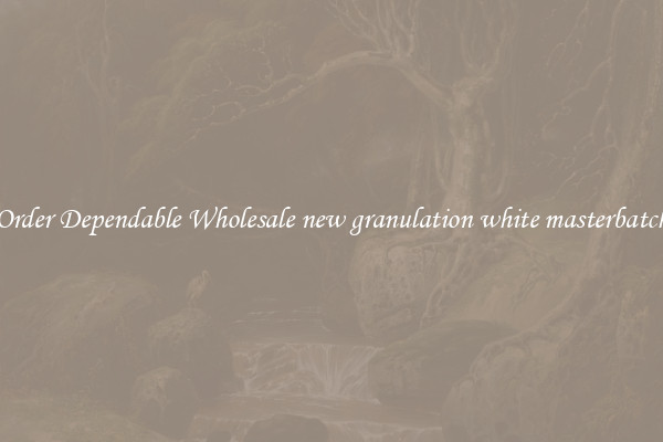 Order Dependable Wholesale new granulation white masterbatch