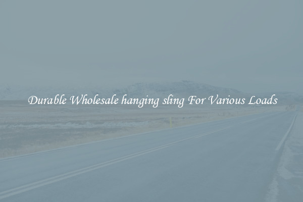 Durable Wholesale hanging sling For Various Loads