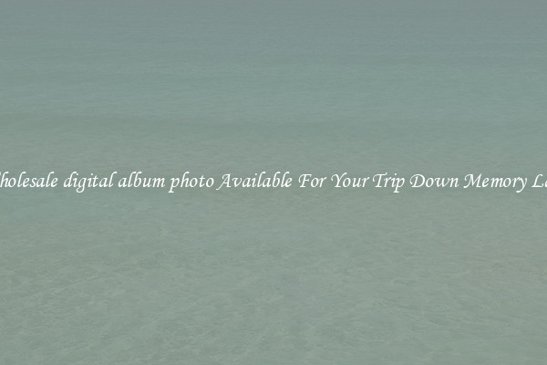 Wholesale digital album photo Available For Your Trip Down Memory Lane