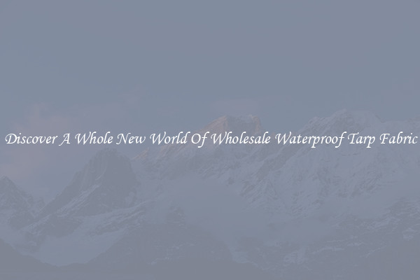 Discover A Whole New World Of Wholesale Waterproof Tarp Fabric