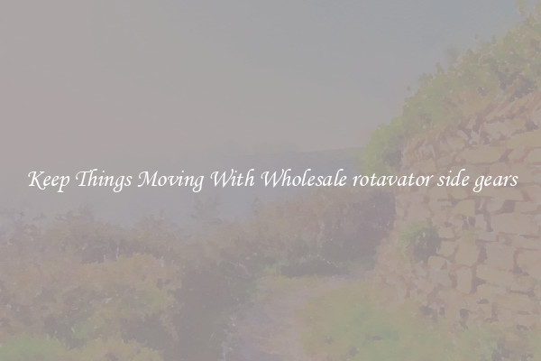 Keep Things Moving With Wholesale rotavator side gears