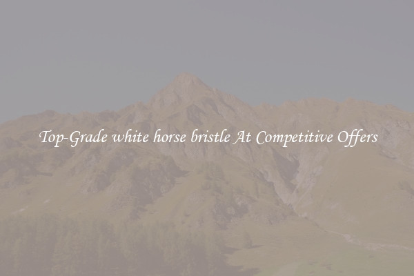 Top-Grade white horse bristle At Competitive Offers