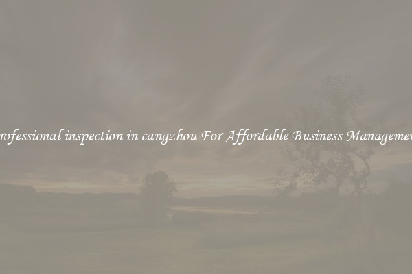 professional inspection in cangzhou For Affordable Business Management