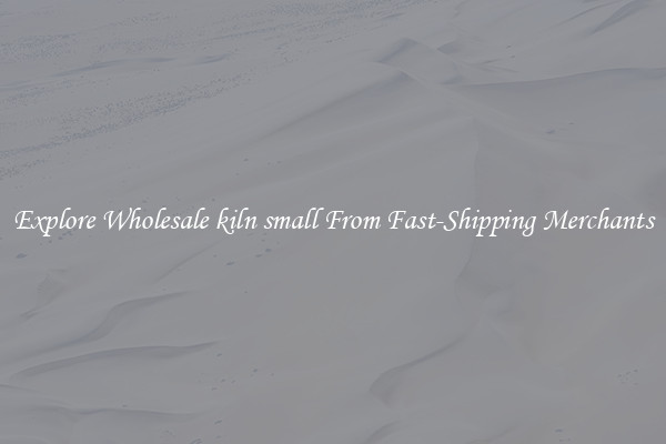 Explore Wholesale kiln small From Fast-Shipping Merchants