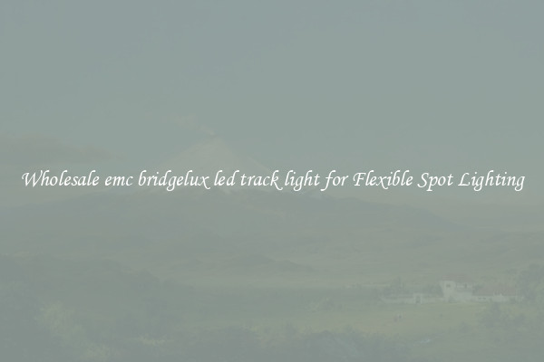 Wholesale emc bridgelux led track light for Flexible Spot Lighting