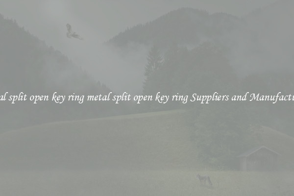 metal split open key ring metal split open key ring Suppliers and Manufacturers