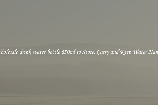 Wholesale drink water bottle 650ml to Store, Carry and Keep Water Handy