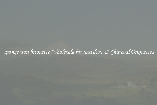  sponge iron briquette Wholesale for Sawdust & Charcoal Briquettes 