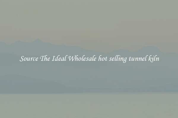 Source The Ideal Wholesale hot selling tunnel kiln