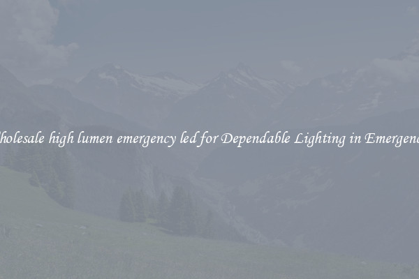 Wholesale high lumen emergency led for Dependable Lighting in Emergencies
