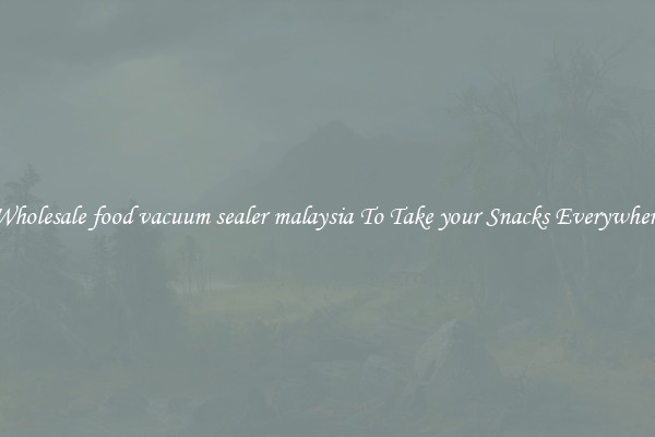 Wholesale food vacuum sealer malaysia To Take your Snacks Everywhere